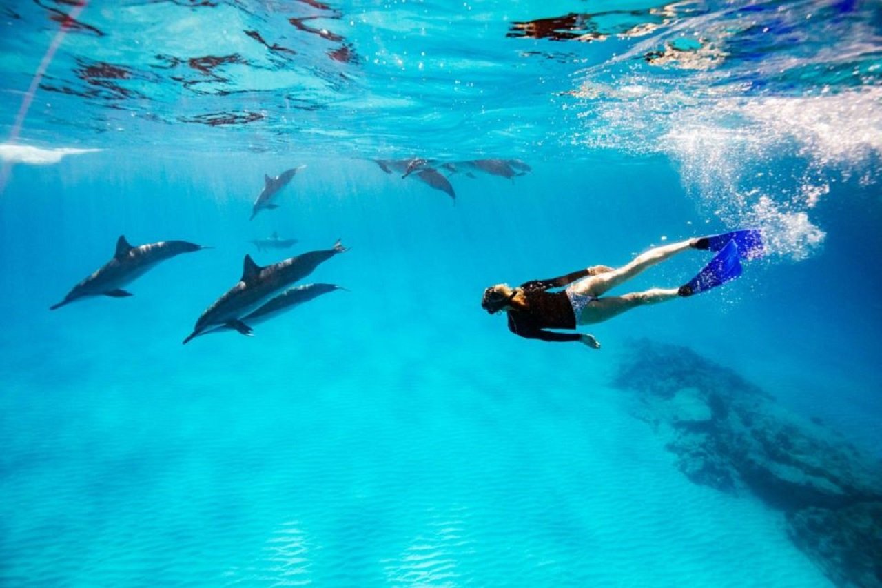 marsa alam trips