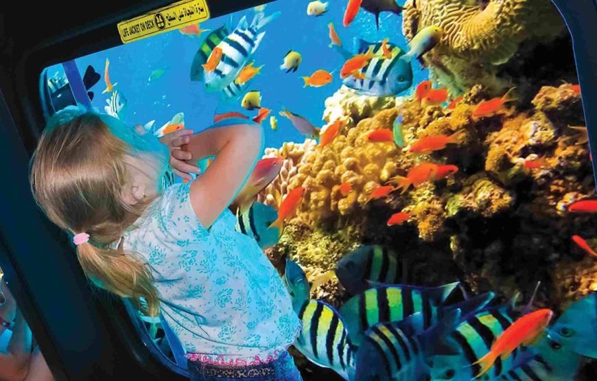 Semi-Submarine Sea Scope, Snorkeling with Transfer – Hurghada