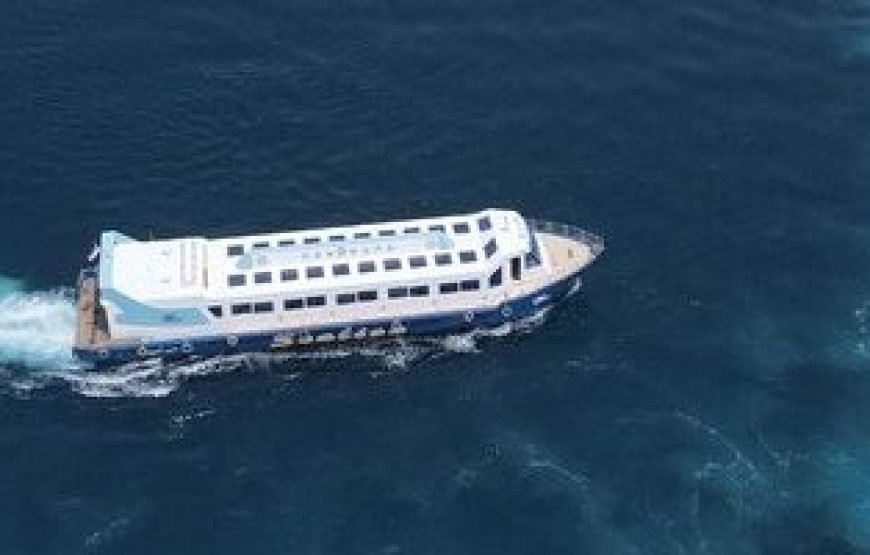 Panorama Semi-Submarine Tour and Snorkeling  – Hurghada