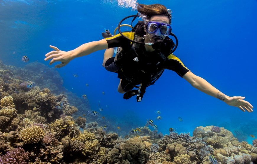 Daily Diving with Expertly Guided, Two Dives and Lunch – Hurghada