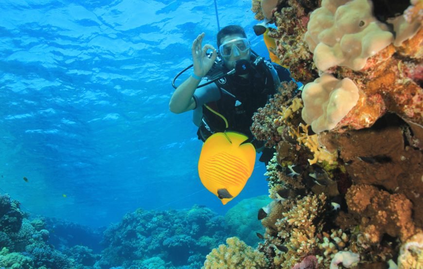 Daily Diving with Expertly Guided, Two Dives and Lunch – Hurghada
