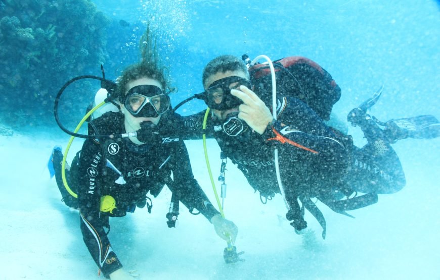 Daily Diving with Expertly Guided, Two Dives and Lunch – Hurghada