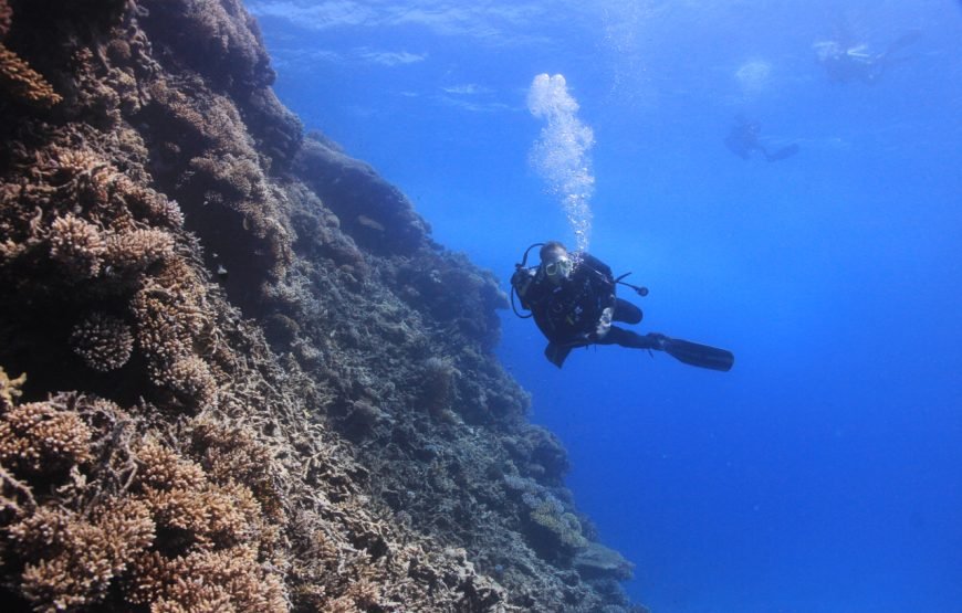 Daily Diving with Expertly Guided, Two Dives and Lunch – Hurghada