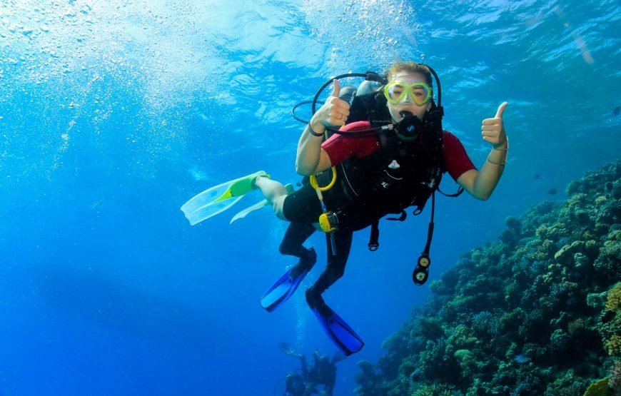 Daily Diving with Expertly Guided, Two Dives and Lunch – Hurghada