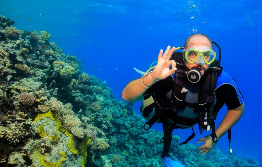 Daily Diving with Expertly Guided, Two Dives and Lunch – Hurghada