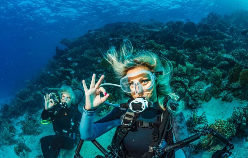 Intro Diving Full Day Boat Trip With Lunch – Hurghada