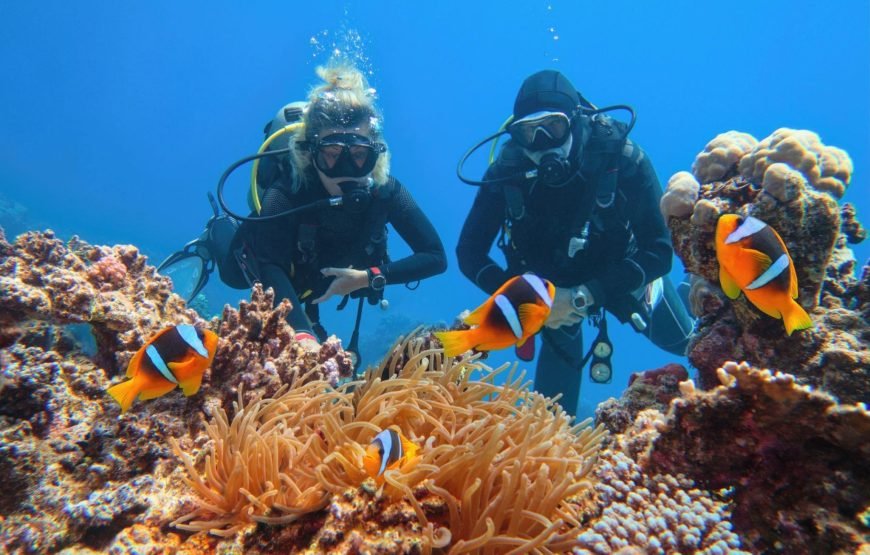Intro Diving Full Day Boat Trip With Lunch – Hurghada