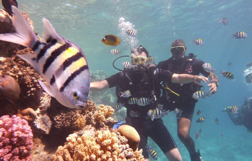 Intro Diving Full Day Boat Trip With Lunch – Hurghada