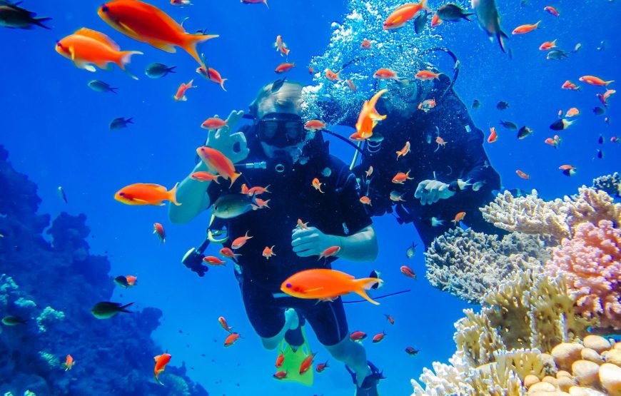 Intro Diving Full Day Boat Trip With Lunch – Hurghada