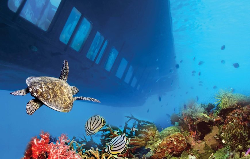 Semi-Submarine Sea Scope, Snorkeling with Transfer – Hurghada