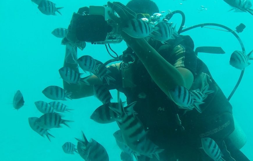 Panorama Semi-Submarine Tour and Snorkeling  – Hurghada