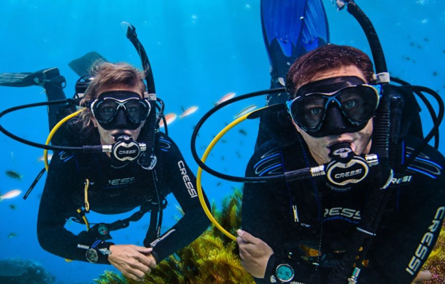 Open Water PADI Diving Course with license fees – Hurghada