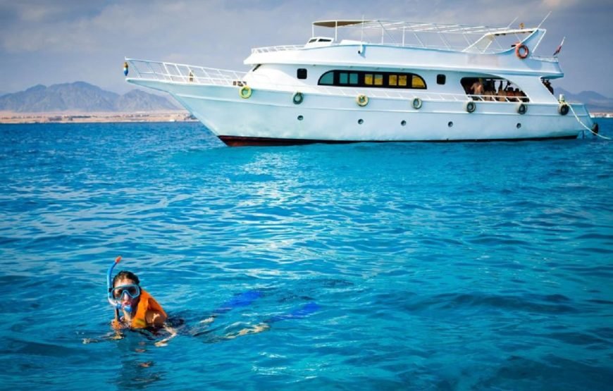 Ras Mohammed, White Island Snorkeling and Diving – Sharm El Shiekh