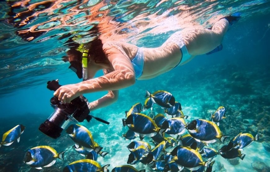 Private Boat to Marsa Mubarak, Snorkeling and lunch – Marsa Alam
