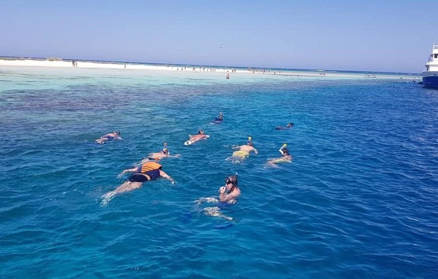 Hamata & Qulaan, Snorkeling With Lunch, Transfer  – Marsa Alam