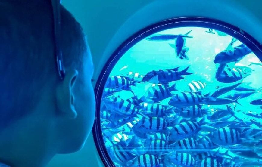 Sea Scope Semi-Submarine, Diver Show and Transfer – Marsa Alam