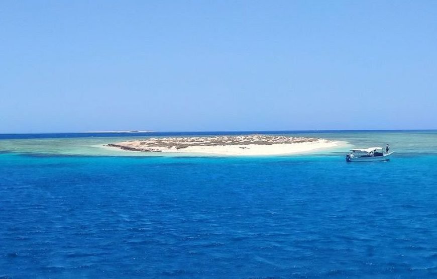 Hamata & Qulaan, Snorkeling With Lunch, Transfer  – Marsa Alam
