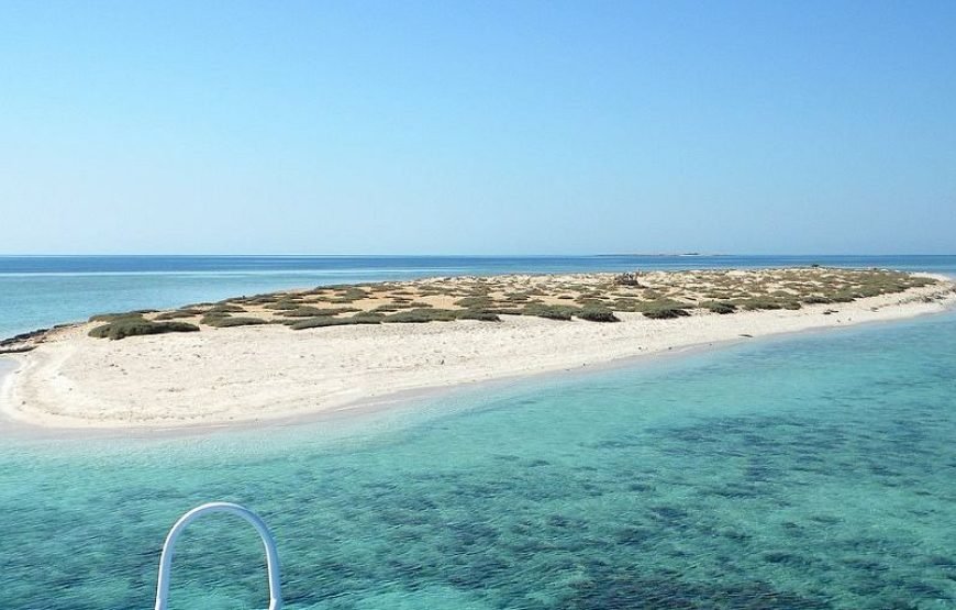 Hamata & Qulaan, Snorkeling With Lunch, Transfer  – Marsa Alam