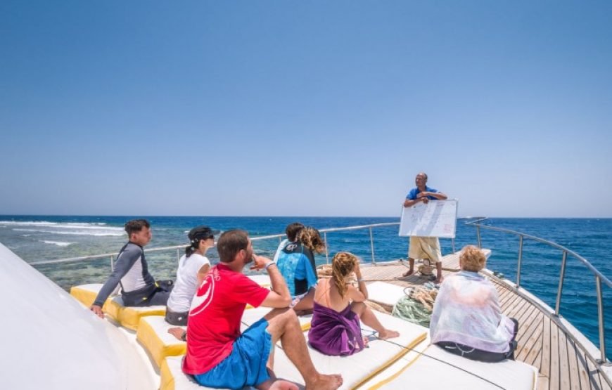 Private Boat to Marsa Mubarak, Snorkeling and lunch – Marsa Alam