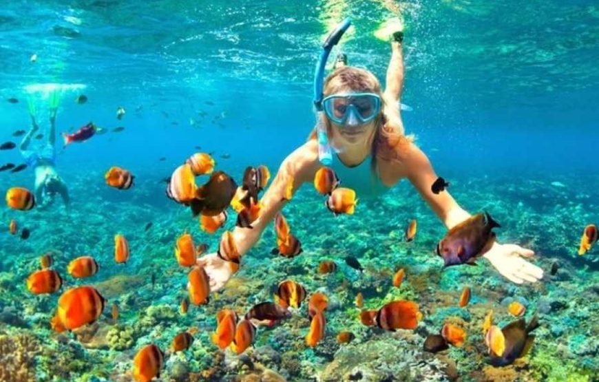 Private Boat to Marsa Mubarak, Snorkeling and lunch – Marsa Alam