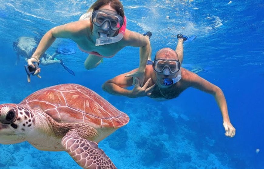 Private Boat to Marsa Mubarak, Snorkeling and lunch – Marsa Alam