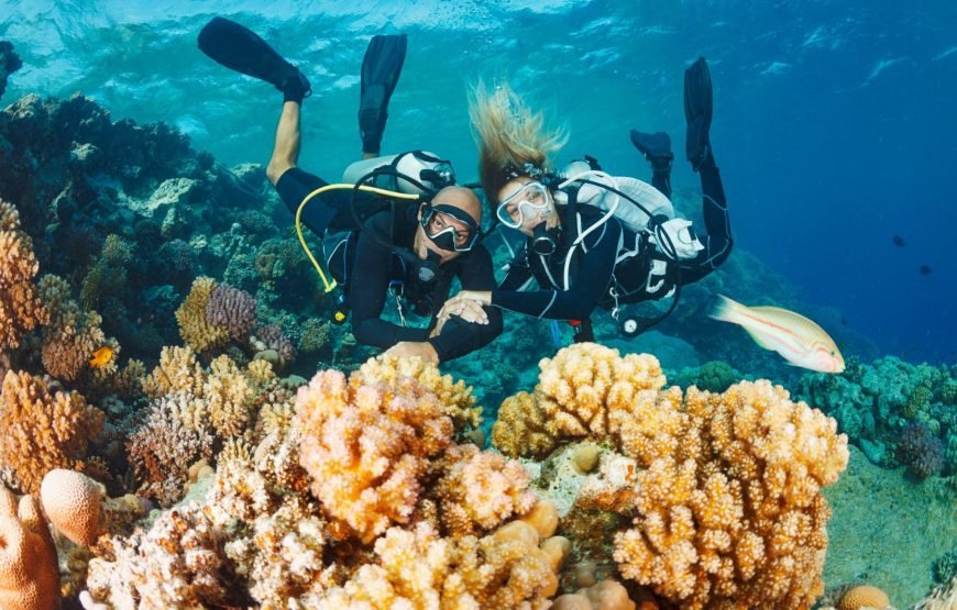 Tiran Island Boat Tour With Intro Dive – Sharm El Sheikh