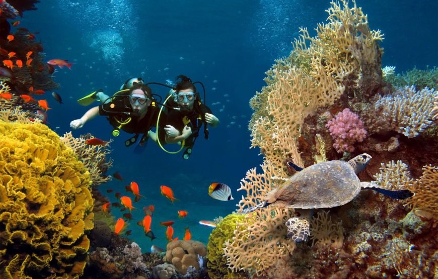 Tiran Island Boat Tour With Intro Dive – Sharm El Sheikh
