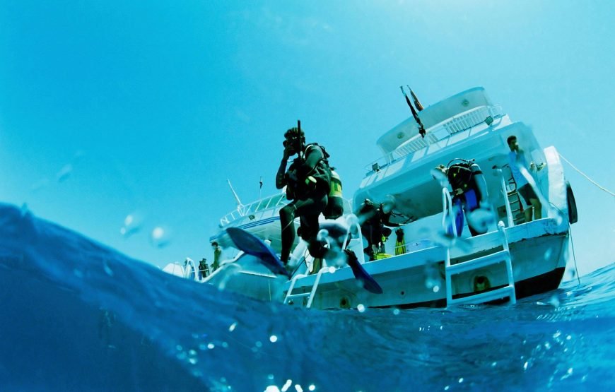 Tiran Island Boat Tour With Intro Dive – Sharm El Sheikh