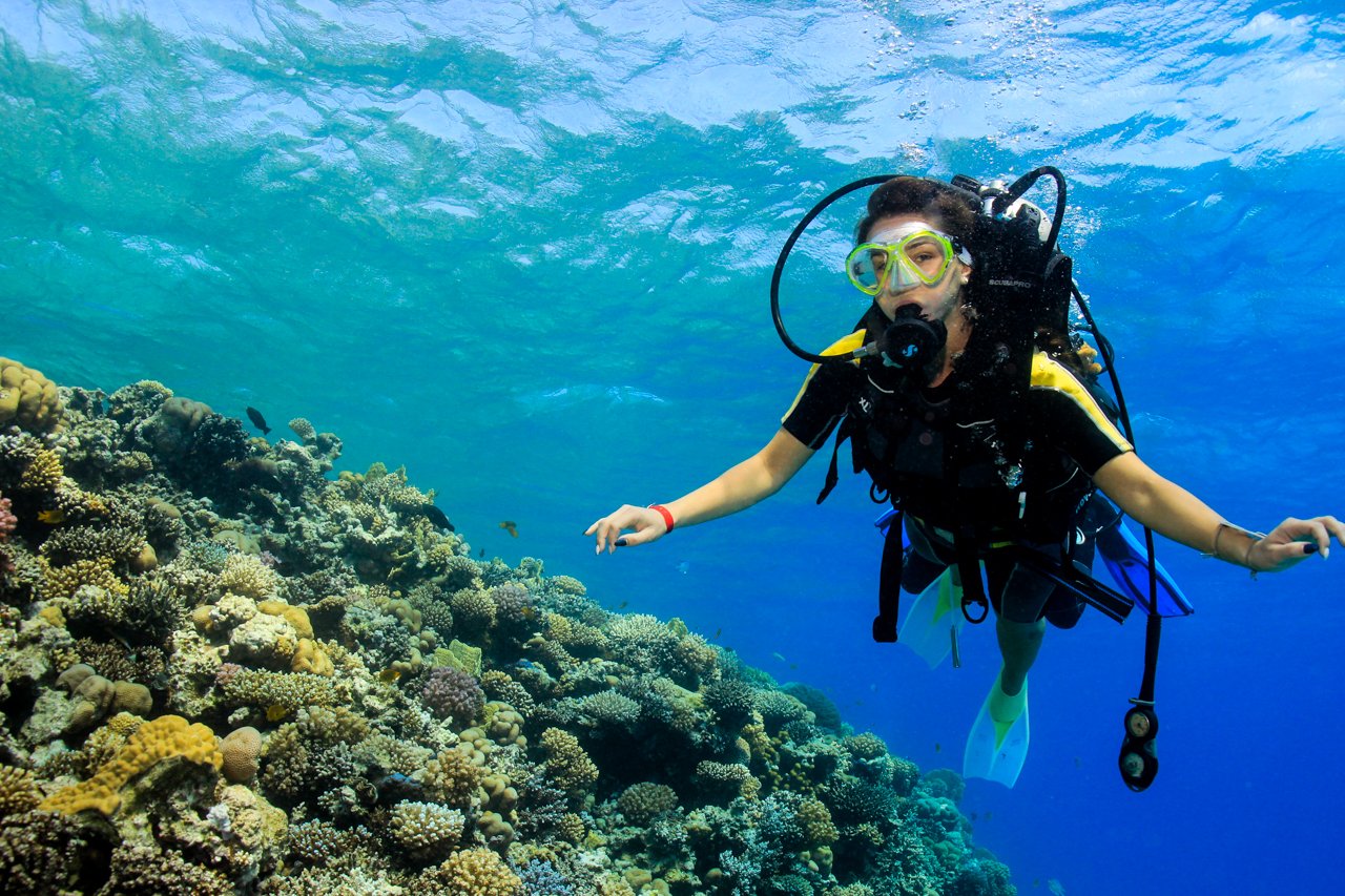 sharm el sheikh diving