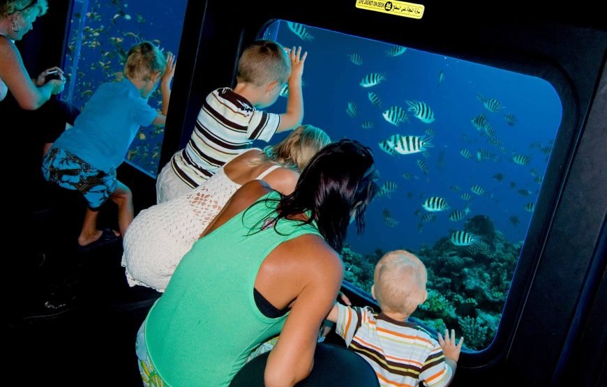 Sea Scope Semi-Submarine, Diver Show and Transfer – Marsa Alam