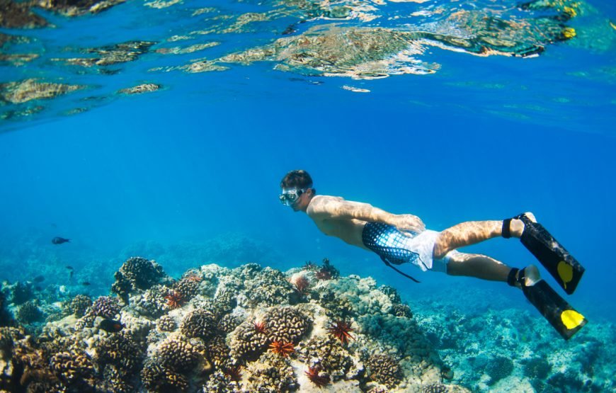 Private Boat to Marsa Mubarak, Snorkeling and lunch – Marsa Alam