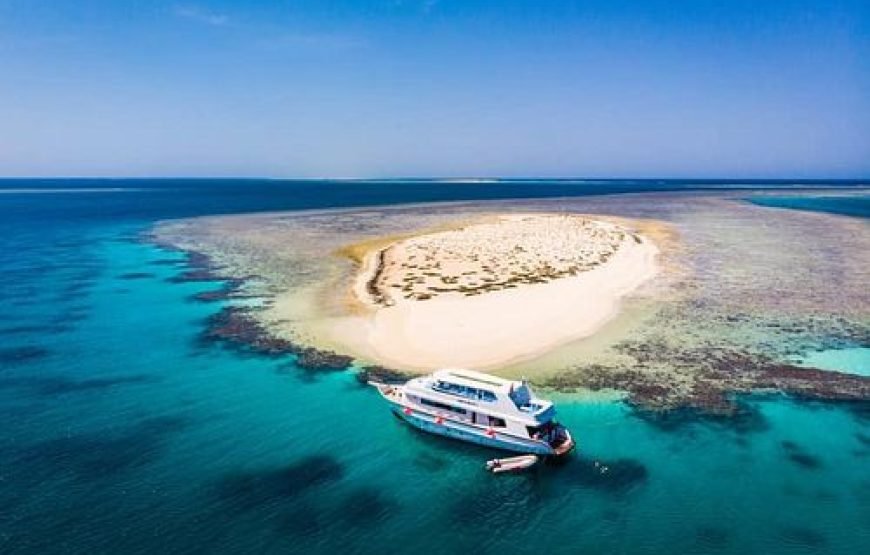 Hamata & Qulaan, Snorkeling With Lunch, Transfer  – Marsa Alam