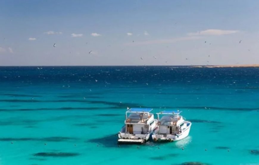 Ras Mohammed, White Island Snorkeling and Diving – Sharm El Shiekh