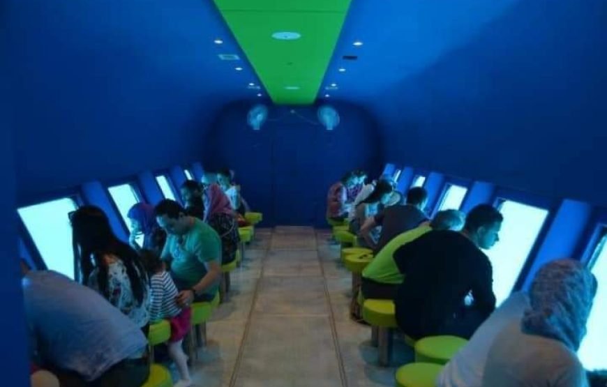 Sea Scope Semi-Submarine, Diver Show and Transfer – Marsa Alam