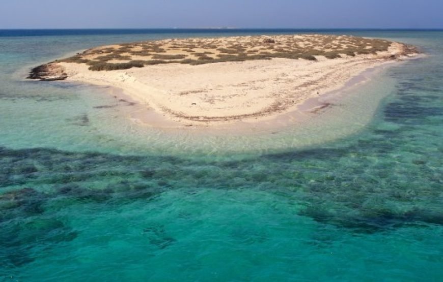 Hamata & Qulaan, Snorkeling With Lunch, Transfer  – Marsa Alam