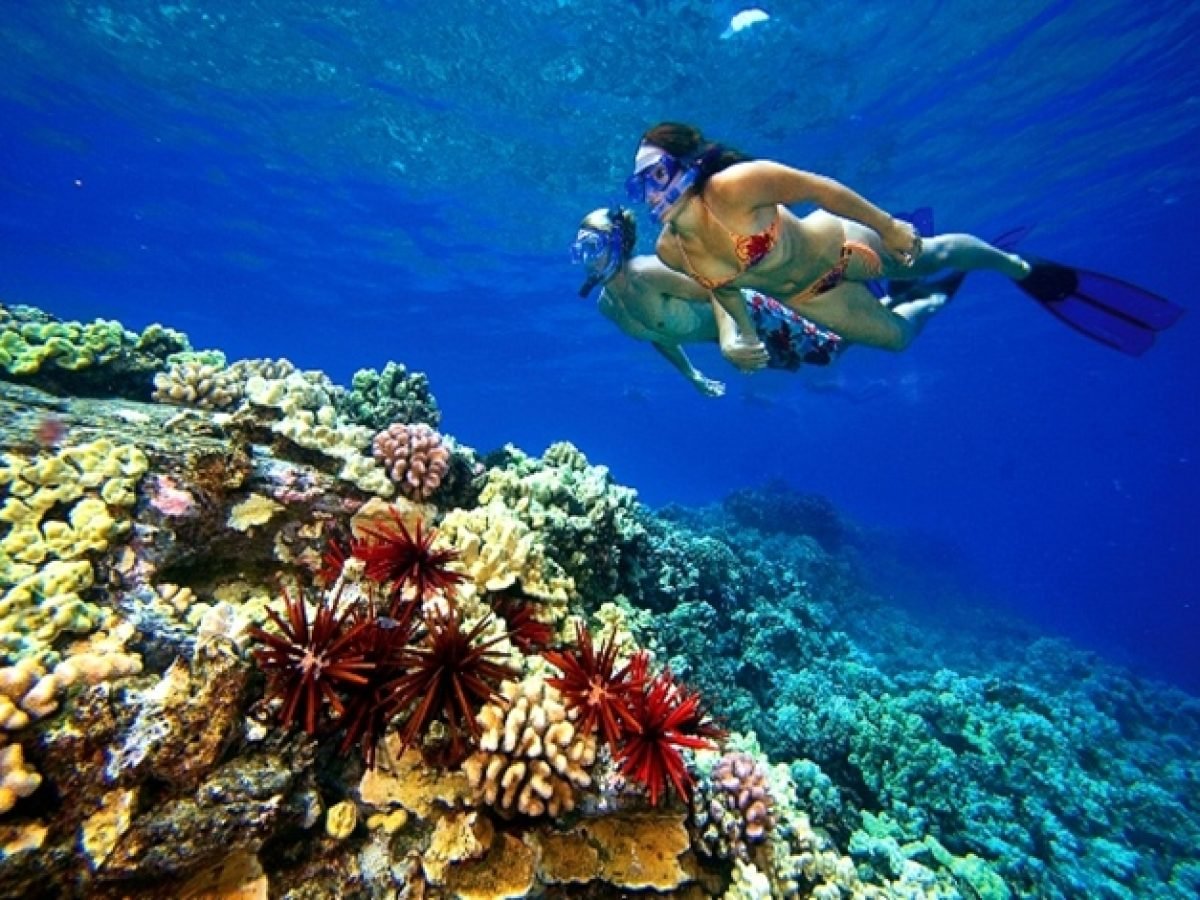 snorkel-trip-tiran-sharm (10)