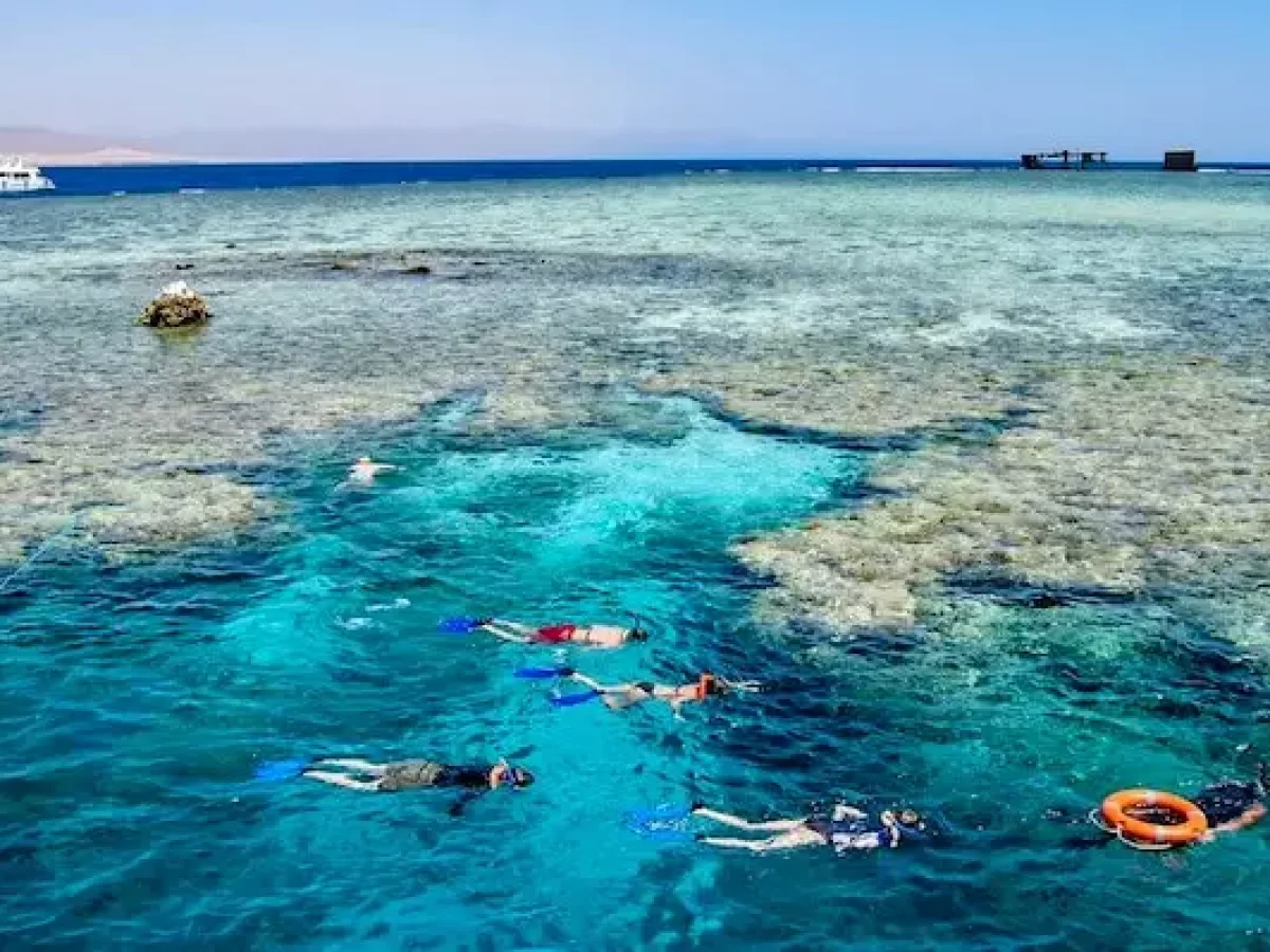 tiran-island-snorkeling Tiran Island sea trip