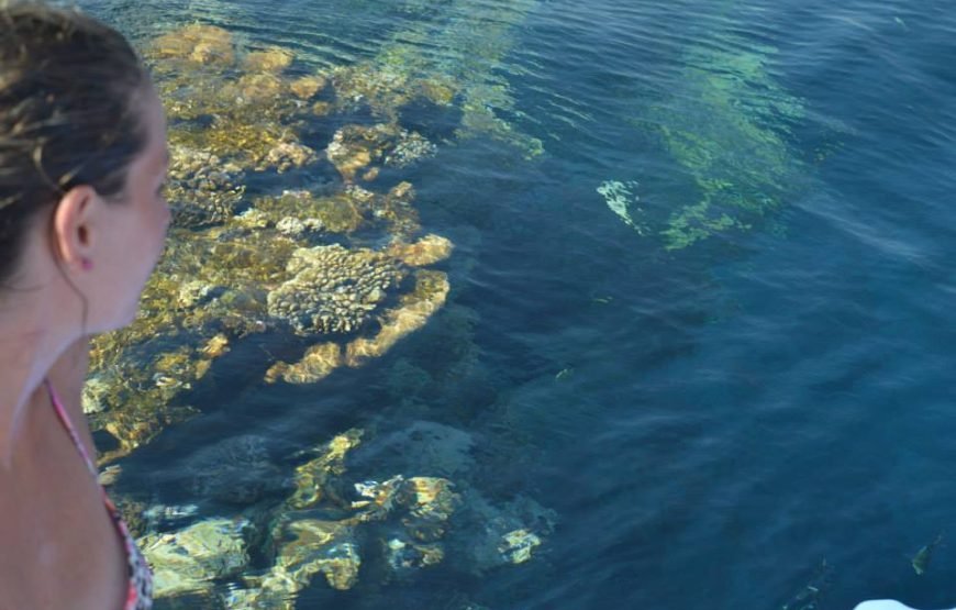 Private Boat Trip to Magawish Island with Snorkeling – Hurghada