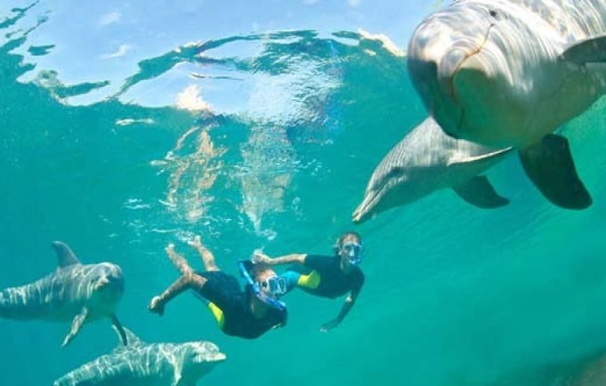 Private Boat Trip to Magawish Island with Snorkeling – Hurghada
